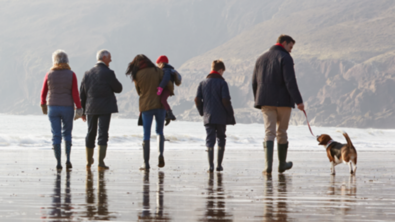 The Family Member No One Introduced You To–And What It Has to Do With Your Family’s Financial Plan
